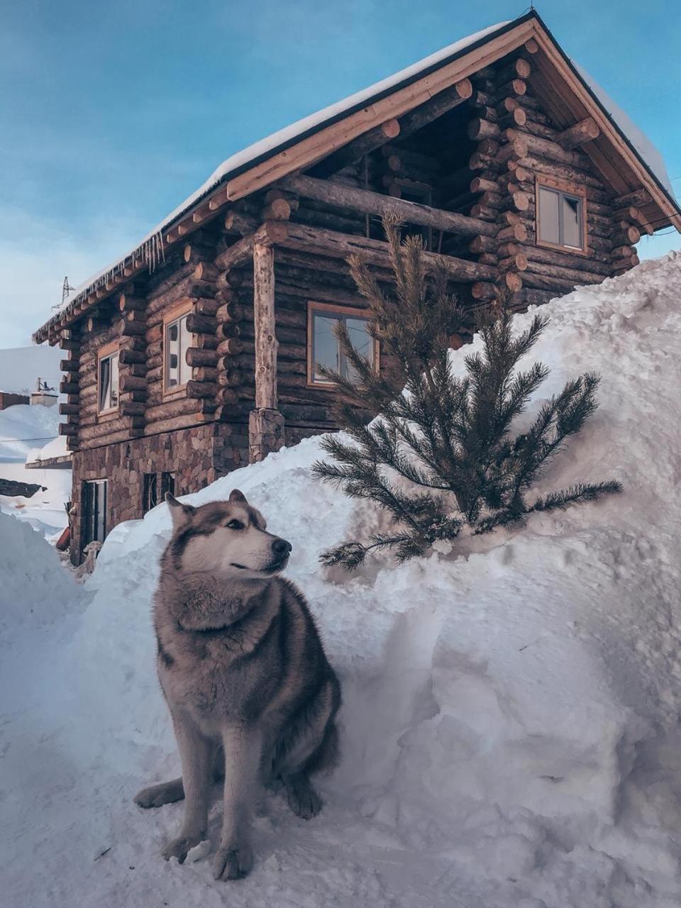 Mountain Cricket Chalets And Apartments Gudauri Luaran gambar